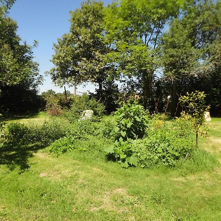 Tranquille Vienne Gites A Chirac Dept Charente 外观 照片