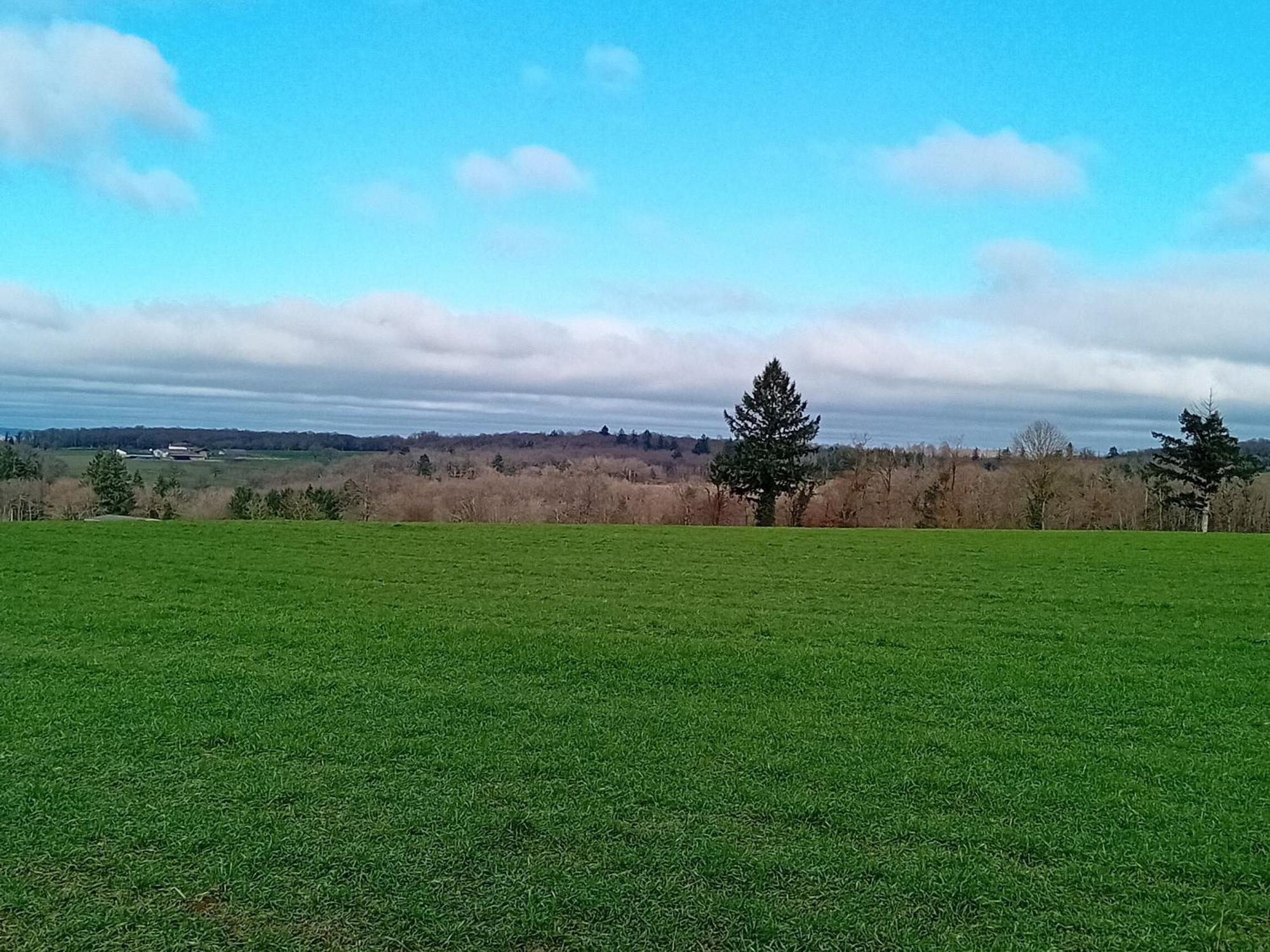 Tranquille Vienne Gites A Chirac Dept Charente 外观 照片